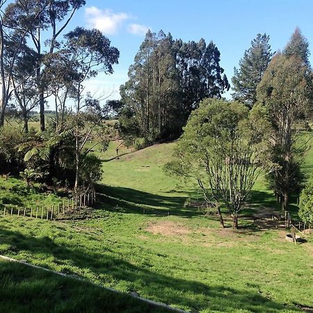Rolling Hills Country Stay B&B Ταουράνγκα Εξωτερικό φωτογραφία
