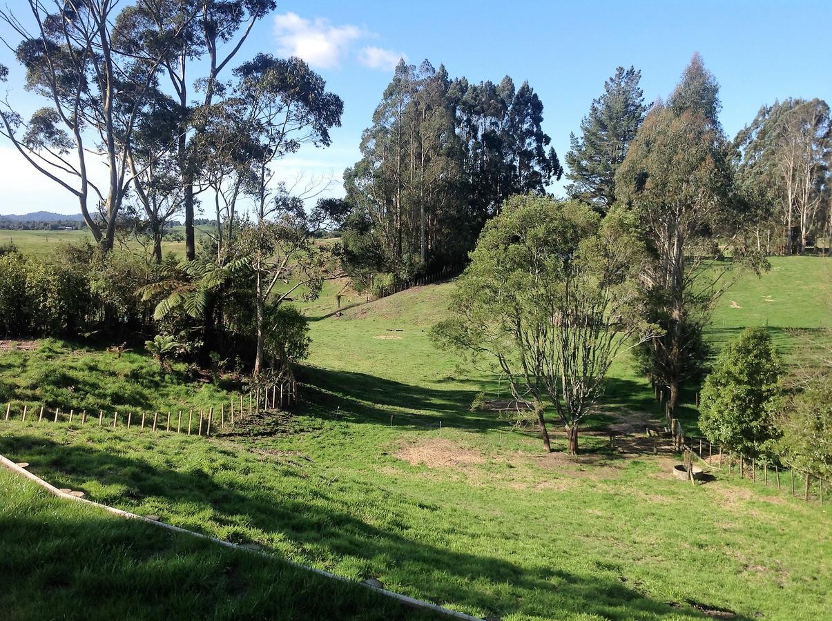 Rolling Hills Country Stay B&B Ταουράνγκα Εξωτερικό φωτογραφία