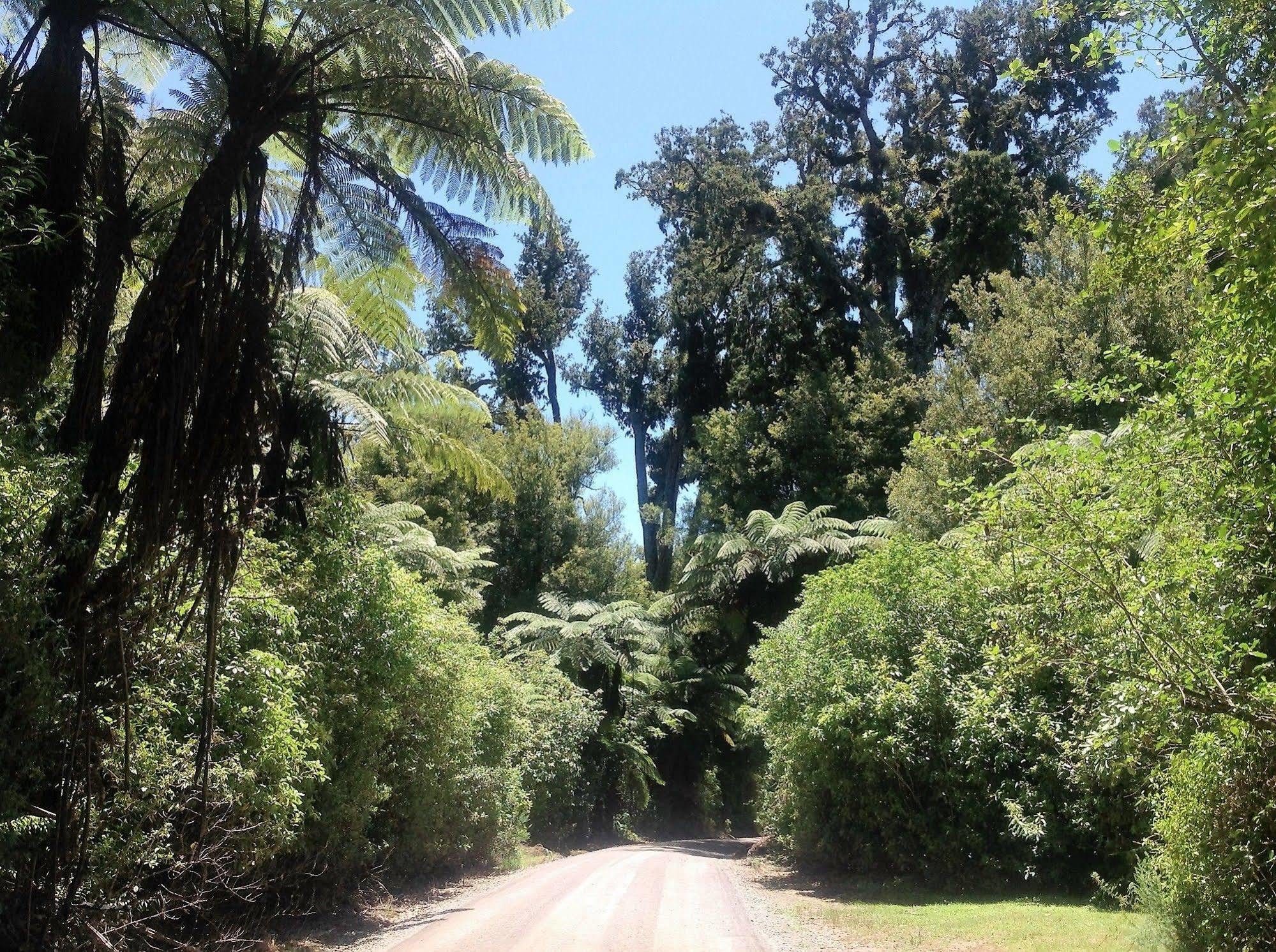 Rolling Hills Country Stay B&B Ταουράνγκα Εξωτερικό φωτογραφία